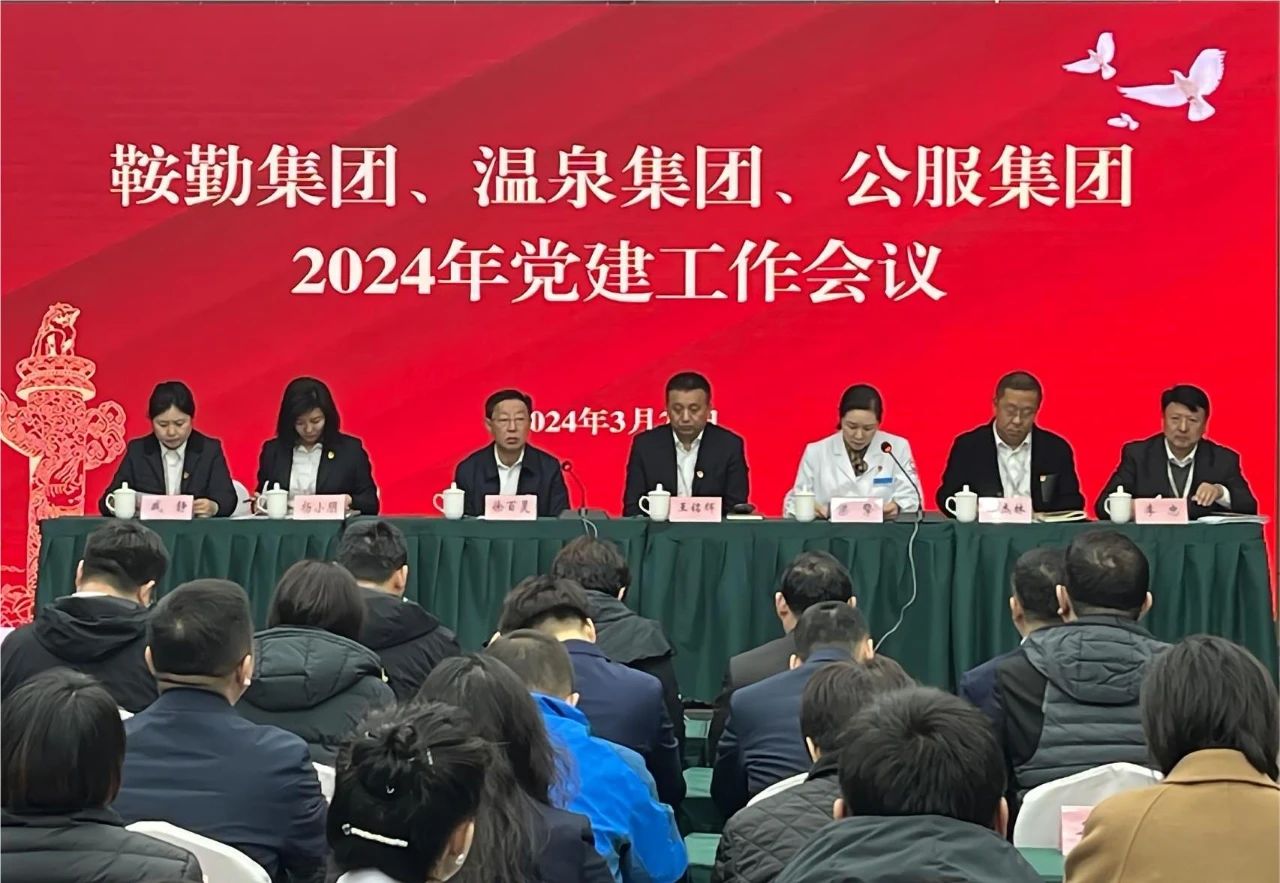 老街腾龙集团、温泉集团、公服集团召开“2024年党建工作会议”“2024年党风廉政建